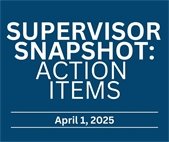 Supervisor Snapshot: Action Items