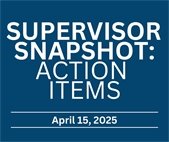 Supervisor Snapshot: Action Items