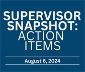 Supervisor Snapshot: Action Items