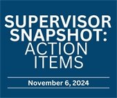 Supervisor Snapshot: Action Items