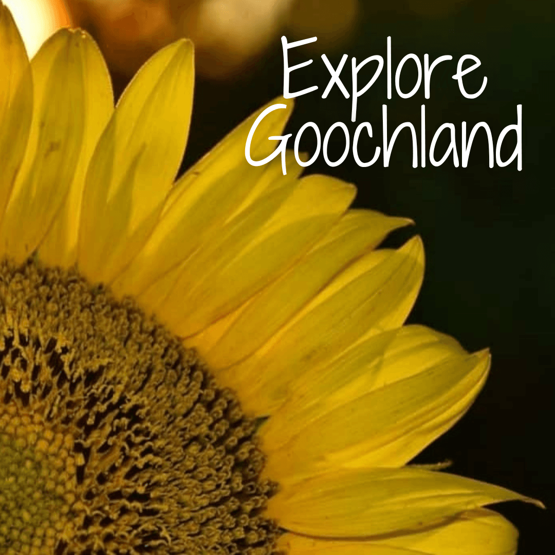 EXPLORE GOOCHLAND 