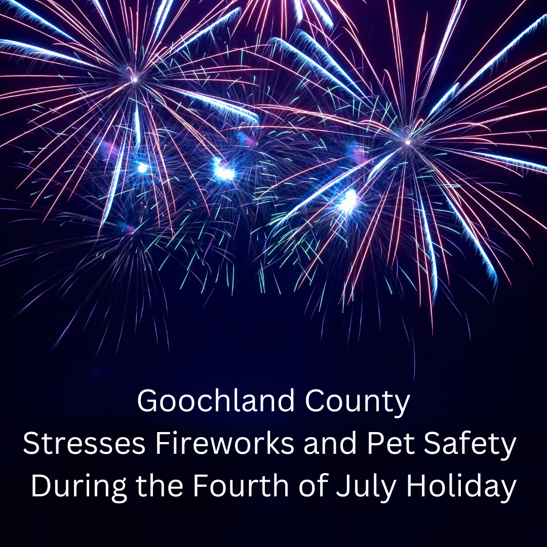 Fireworks and Pet Safety
