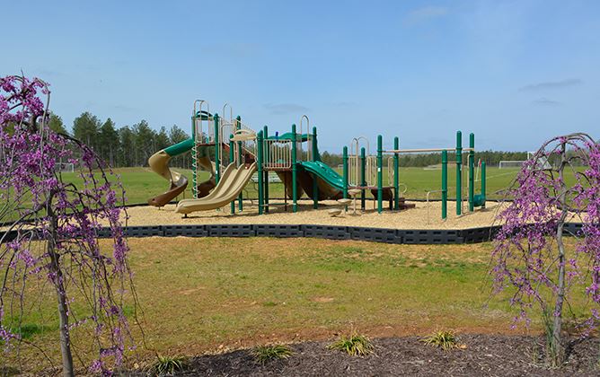 PLayground