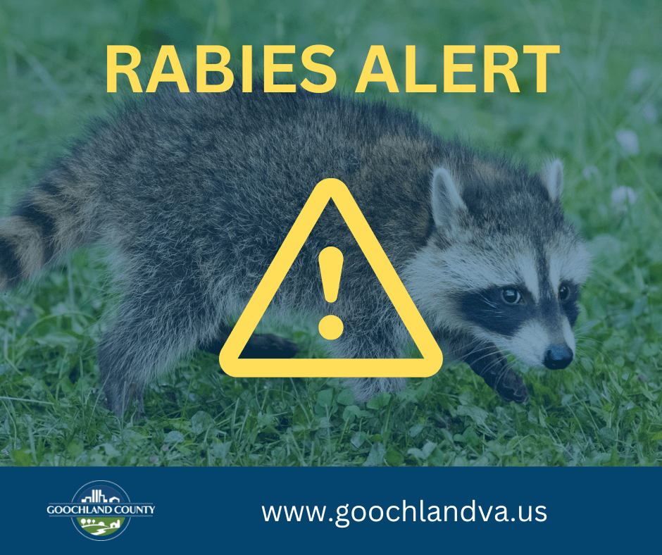 Rabies Alert - Raccoon - March 9 2023